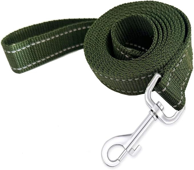 Reflective Dog Leash 4Ft /5 Foot /6 Feet Long, 1 Inch Wide, for Small and Medium Dogs