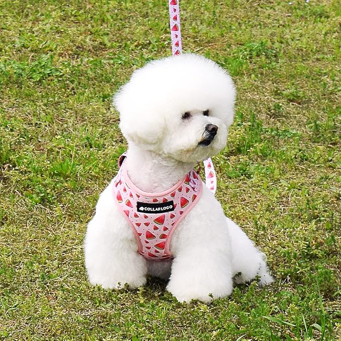 Dog Harness and Leash Set, Adjustable Dog Harness, Dog Leash, No Pull No Choke Puppy Harnesses for Walking Training for Small Medium Pet