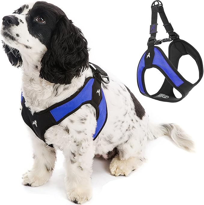 Gooby Escape Free Easy Fit Harness - Blue, Small - No Pull Step-in Patented Dog Harness with Quick Release Buckle for Small to Medium Dogs
