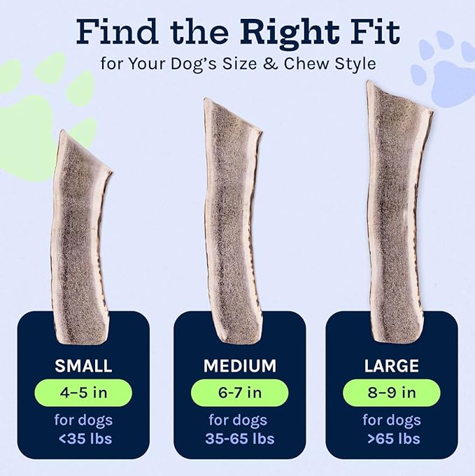 Good Trouble Premium Elk Antlers for Small Dogs – 2 Pack Split - All-Natural, Shed Antler Chews for Dental Health & Calming - Durable Dog Bones - Cruelty-Free, North American Sourced