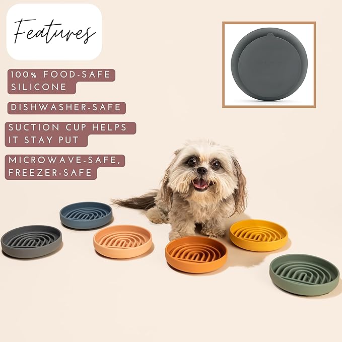 Should We Go? Slow Feeder for Dogs & Cats, The Slowdown Bowl Silicone Slow Eating Mealtime Solution with Modern Lick Mat Design, Reduces Gulping, Fits 1 Cup, 6” Across x 1.25” Tall, Small-Sage