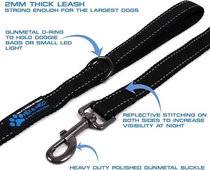 Max and Neo??Reflective Nylon Dog Leash - We Donate a Leash to a Dog Rescue for Every Leash Sold (RED, 6 FT)