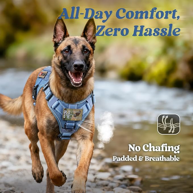 rabbitgoo Tactical Dog Harness Medium Large Sized, No Pull Upgraded Reflective Heavy Duty Molle Vest with Handle, Adjustable Military Service Dog Vest for Walking Hiking Training, Blue, M