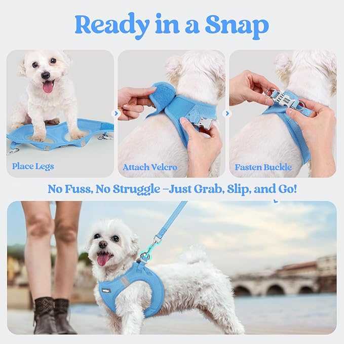 rabbitgoo Dog Harness Small Sized and Leash Set, Step in Soft Light Puppy Vest, Breathable Mesh Pet Harness, Reflective for Safe Easy Walking, Blue M