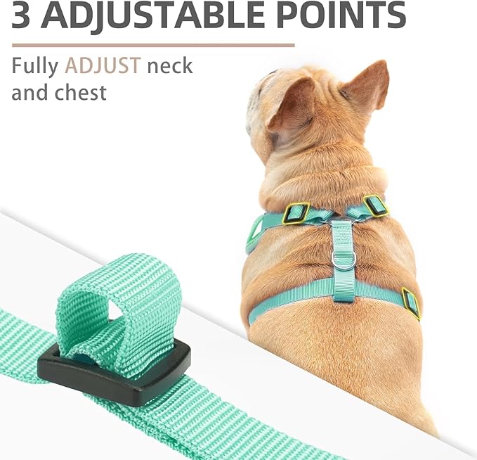 PUPTECK Small Dog Harness and Leash Set, No Pull Adjustable Puppy Cat Harness, Reflective Soft Mesh Pet Vest Small Sized, Green, M