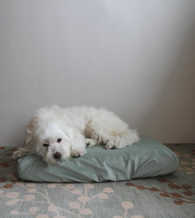 Sage Green Dog Bed Cover Replacement Washable 36 x 27 Inch