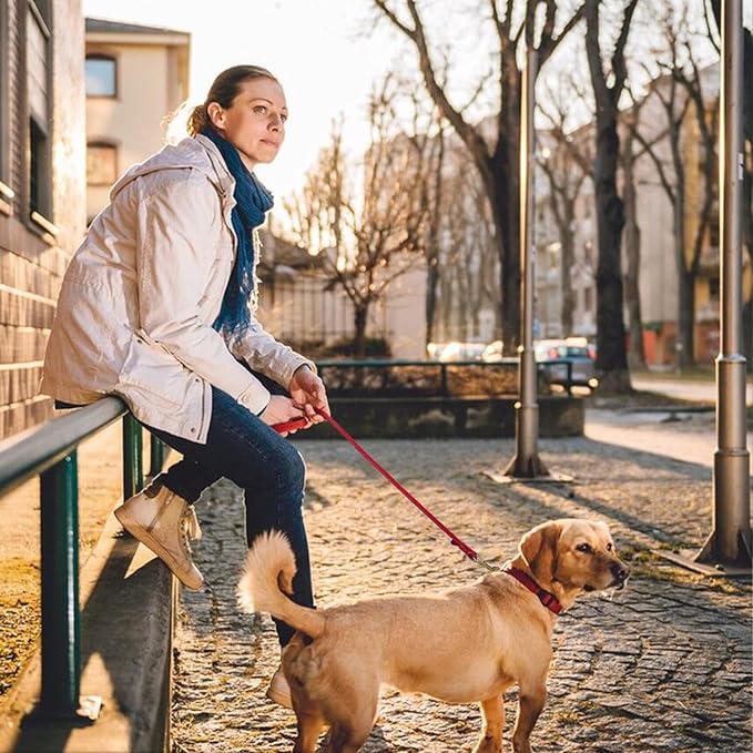 LWBMG Leather Dog Leash 8ftx1/2 inch, Heavy Duty Dog Leash, Strong and Sturdy Leather Braided Dog Leash, Soft and Comfortable Leather Leash for Medium Large Dogs Training and Walking Red