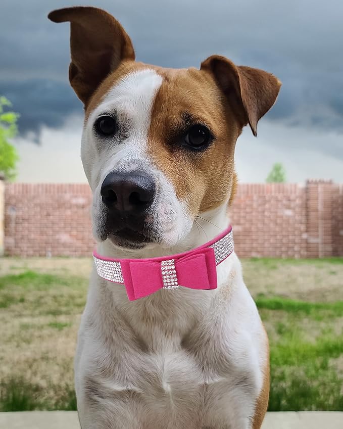 Bling Dog Collar for Small Medium Large Dogs, Crown Rhinestone Dog Collars for Girl and boy Dog, Diamond Puppy Collars, Adjustable Leather Suede SOFE Cat Collar (M(13"-15.4"/33CM-39CM), Rose Red3)