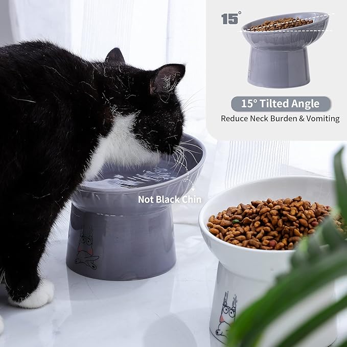 OMAYKEY 6.5 Inch Extra Wide Ceramic Raised Cat Bowl Set, Tilted Elevated Cat Bowls for Food and Water, Prevent Whisker Fatigue, Stress Free, Less Vomiting, Protect Spine, White & Grey