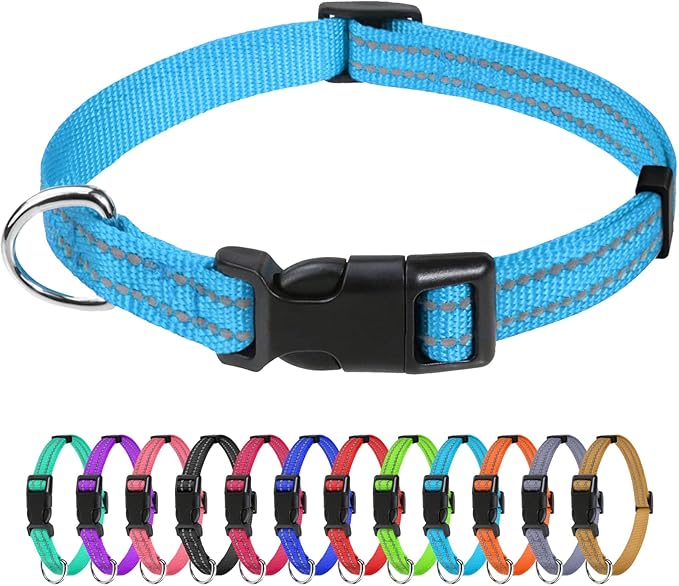 TagME Dog Collars for Small Dogs, Reflective Nylon Pet Collar with Quick Release Buckle, Small Dog Collar for Boys, Sky Blue, 3/8" Width