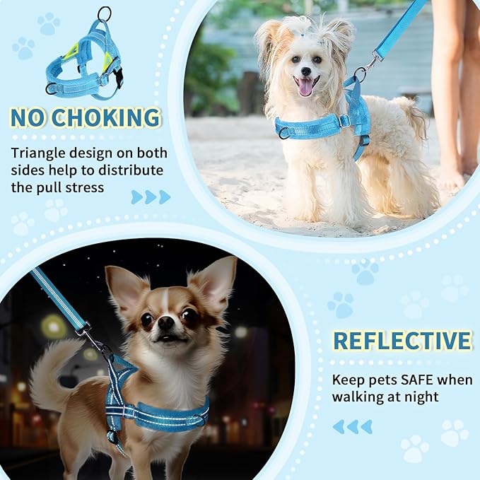 Lukovee No Pull Dog Harness and Leash Set, Soft Padded Small Dog Harness, Neck & Chest Adjustable Reflective Vest Puppy Harness with 4ft Lightweight Anti-Twist Dog Leash for Small Dogs (LBL, XXS)