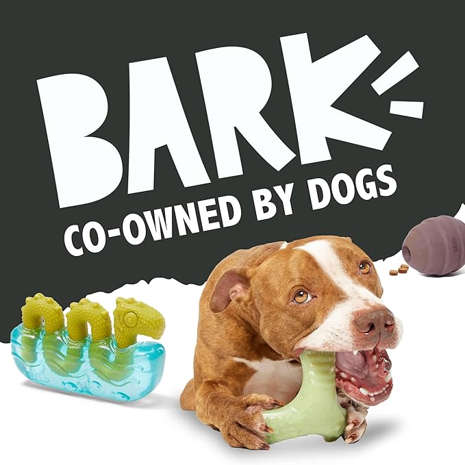 Barkbox Pupkin Spice Latte Plush Dog Toy – Plush Dog Toys – Puppy and Pet Toys for Medium to Large Dogs