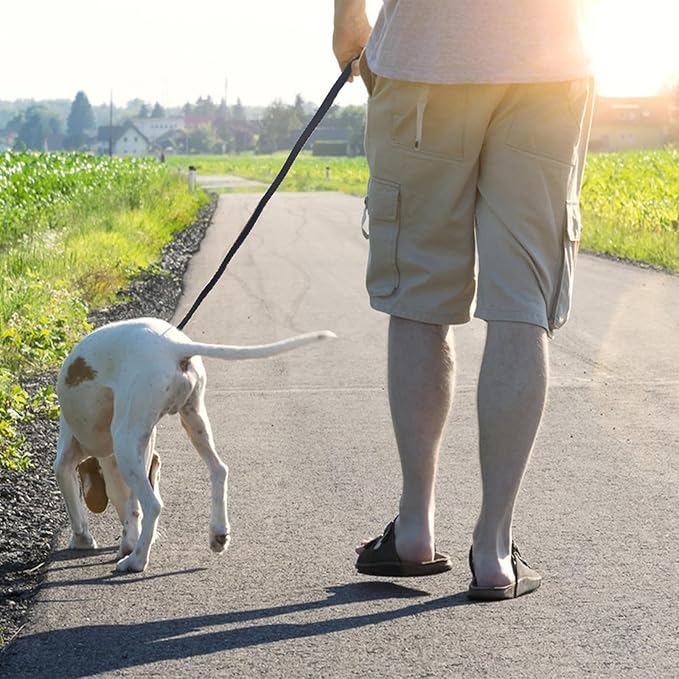 LWBMG Black Leather Dog Leash 6ft x 5/8", Heavy Duty Dog Leash, Strong Sturdy Genuine Leather Dog Leash, Soft Braided Leather Leash for Large, Medium and Small Dogs Training