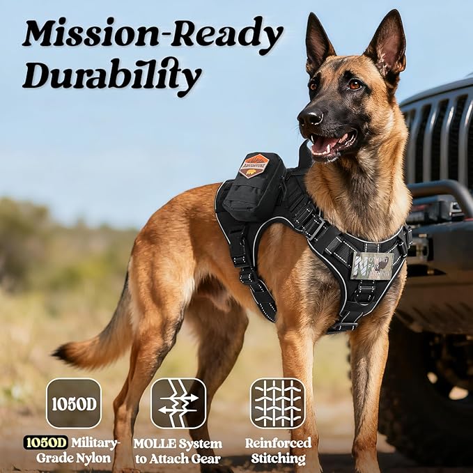 rabbitgoo Tactical Dog Harness Small Medium Sized, No Pull Upgraded Reflective Heavy Duty Molle Vest with Handle, Adjustable Military Service Dog Vest for Walking Hiking Training, Black, S