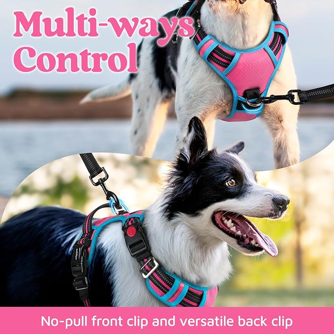 rabbitgoo Dog Harness Medium Sized, No Pull Dog Vest with 3 Buckles, Adjustable Soft Padded Pet Harness with Easy Control Handle and Reflective Strips, Rose Pink & Blue, M