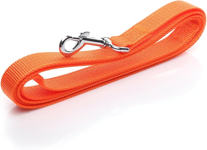 Nylon Dog Leash 12 Feet Long, Walking Training Dog Leashes for Medium Large Dogs(1" X 12 ft, Orange)