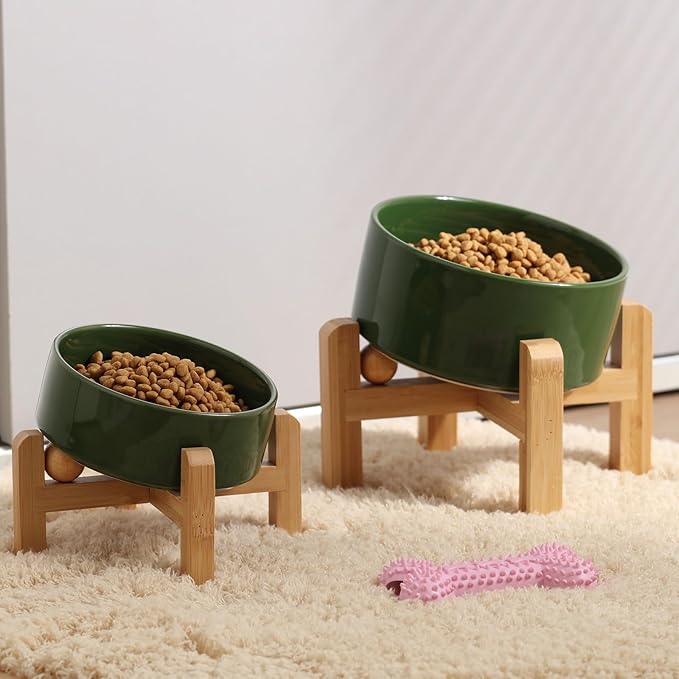 Petygooing Raised/Elevated 15°Slanted Ceramic Dog Bowl for Small Breeds,Tilted Anti Slip Pet Feeding Bowl,Food Water Dish with Stand for Cats and Small Dogs Puppy 13.5 OZ (5.1In / 1.7 Cups)Rust Green