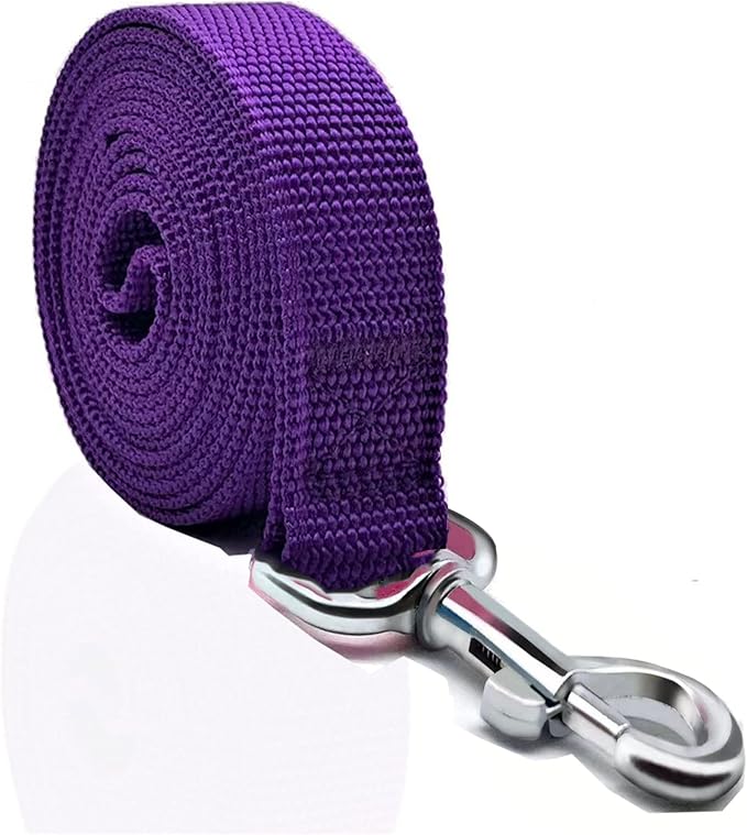 Nylon Dog Leash 16 Feet Long, Walking Training Dog Leashes for Medium Large Dogs(1" X 16 ft, Purple)