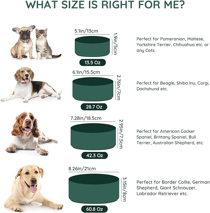 SPUNKYJUNKY 28.7OZ Ceramic Dog and Cat Bowl, Modern Cute Weighted Food Water Bowl for Replacement Green (2 Pack)