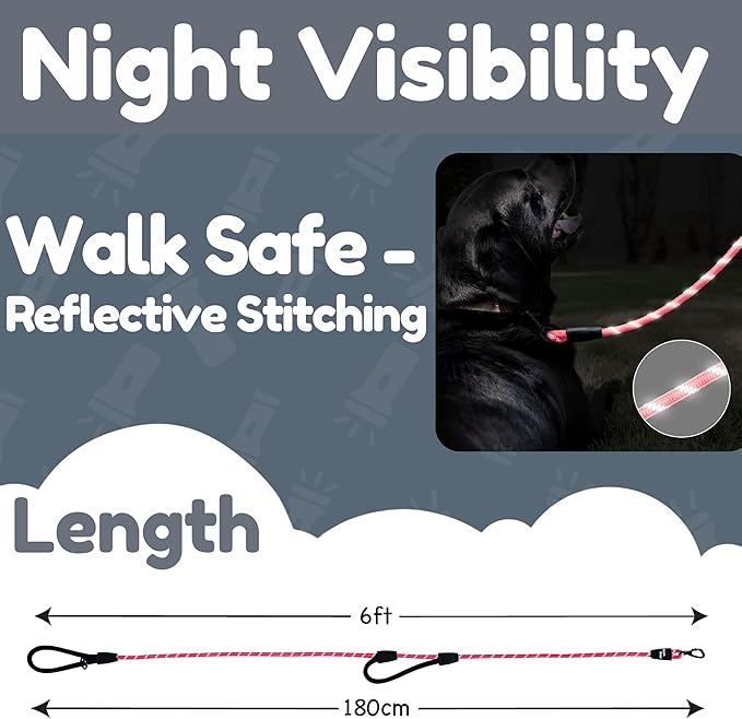 6 Foot Dog Leash, Two Extra Padded Handles, Locking Carabiner Clip, Reflective for Night Visibility, Weatherproof, Heavy Duty Rope Leash, Roam Gear (Pink)