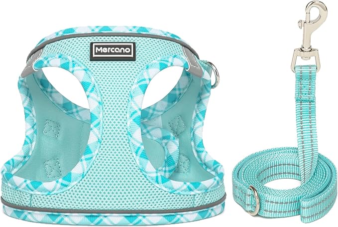 Mercano Soft Mesh Dog Harness and Leash Set, No-Chock Step-in Reflective Breathable Lightweight Easy Walk Vest Harnesses with Safety Buckle for Small Dogs, Cats (Light Blue, L)