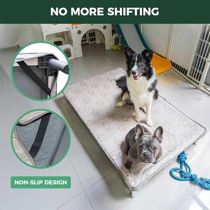 FXW TitanNest Chew-Proof Elevated Dog Bed, Raised Cot for Indoor/Outdoor/Camping Use, Durable & Washable Padded Pet Bed with Exclusive Cover for Toy Dogs, 23.0" L x 17.0" W x 4.5" H, Gray