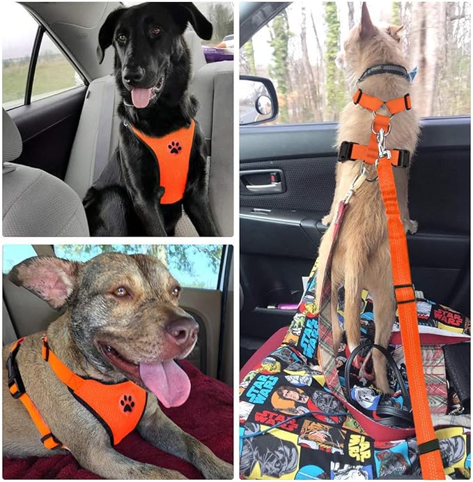 Lukovee Dog Seat Belt for Car, Adjustable Dog Car Harness for Large Medium Small Dogs, Soft Padded & Breathable Mesh Dog Seatbelt with Car Strap and Carabiner (Orange,L)