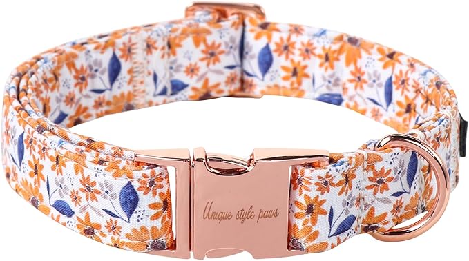 Unique style paws Dog Collar Metal Buckle Collar for Autumn Winter Christmas for Small Medium Large Boys Girls Dogs