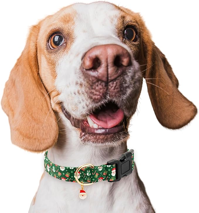 Christmas Dog Collar,Adjustable Cute Puppy Collar with Santa Claus Patterned Design for Small Medium Large Dogs,Soft Pet Collar with Safety Buckle for Girl Boy Dogs (Green Santa, L)