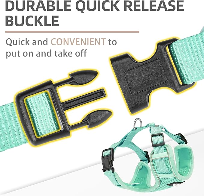 PUPTECK Small Dog Harness and Leash Set, No Pull Adjustable Puppy Cat Harness, Reflective Soft Mesh Pet Vest Small Sized, Green, M