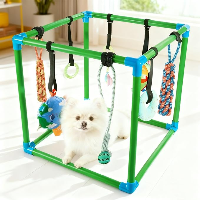 SpaceTime Puppy Play Gym with 8 Hanging Toys,Interactive Dog Toys to Keep Them Busy,Puppy Chew Rope/Rubber/Squeaky/Plush Toy for Indoor Small & Large Dogs,Durable Frame with Elastic Straps (Green)