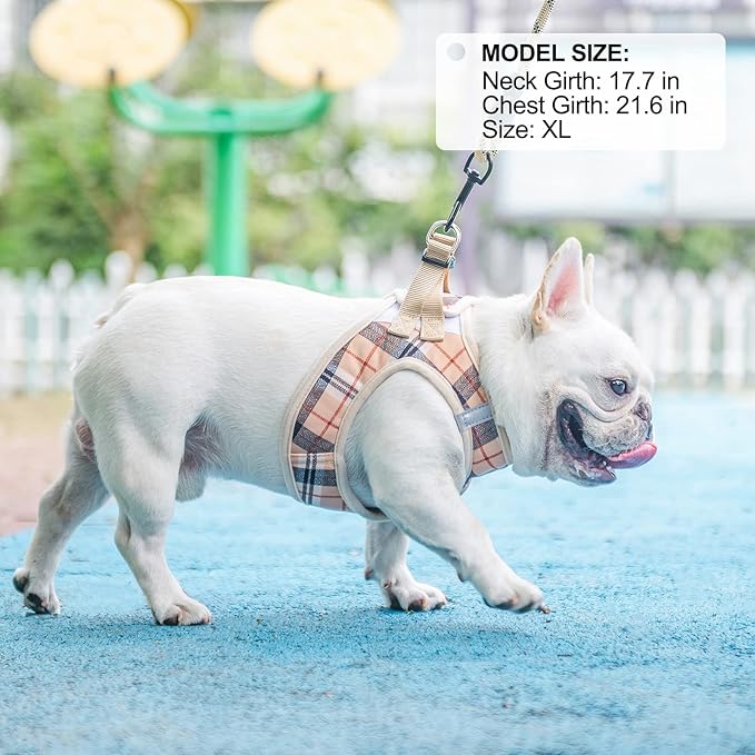 BEAUTYZOO Small Dog Harness and Leash Set,Step in No Choke No Pull Soft Mesh Dog Harnesses Reflective for Extra-Small/Small Medium Puppy Dogs and Cats, Plaid Dog Vest Harness for XS S Pets, Beige XL