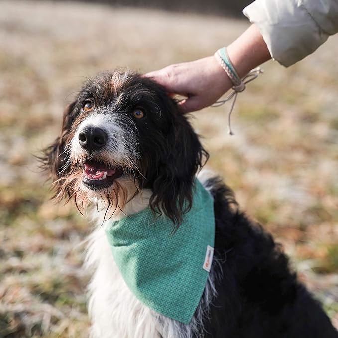 Pettsie Dog Bandana Collar with Matching Friendship Bracelet – Adjustable, Durable Hemp & Soft Cotton, Stylish & Comfortable Pet Bandana, Designed for Dog Lovers, Large, Green