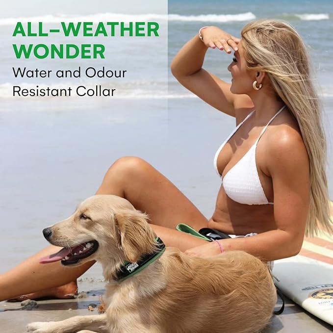 Black Rhino Extra Large Dog Collars - Adjustable Reflective Heavy Duty Wide Dog Collar with Ultra-Soft Neoprene Padding - Weatherproof, Durable, and Comfortable for Active Dogs - Green and Black