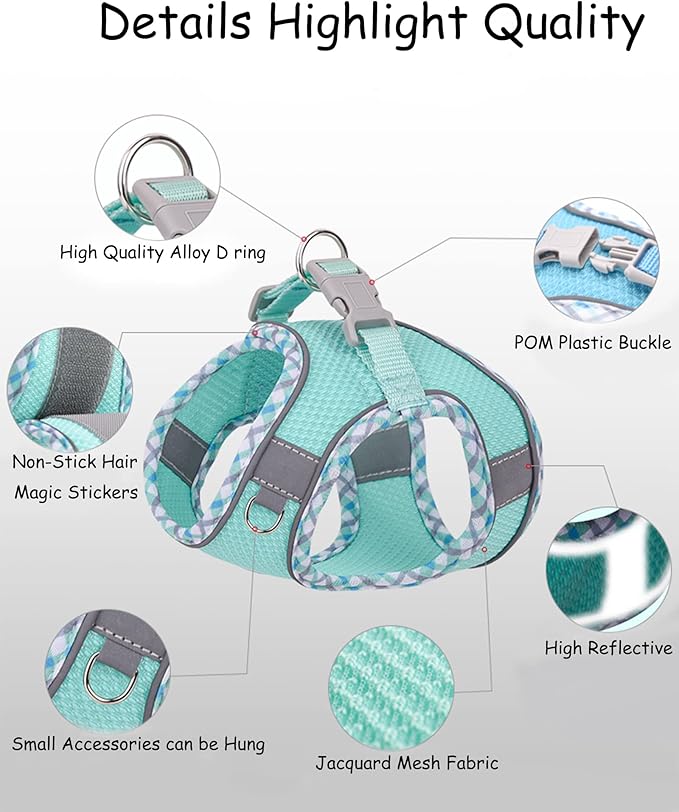 Petank Dog Harness for Small Medium Dogs No Pull, Puppy Harness and Leash Set,Step in Dog Harness for Walking, Running, Training, Small Dog Vest(Light Blue, XXS)