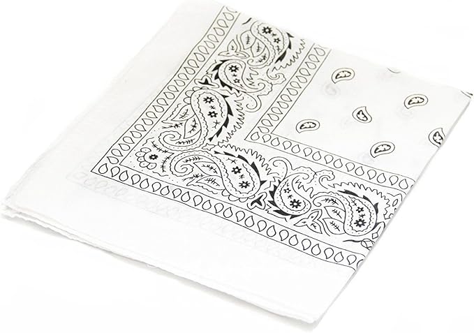combocube 12 Pack(one Dozen) Multi-Purpose Cotton Paisley Cowboy Bandanas Headband for Men and Women