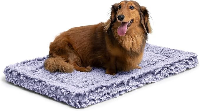 Stoutwool Indestructible Dog Bed - Fluffy Chew Proof Dog Crate Pad - Tough Kennel Pad for Aggressive Chewers - Washable, Ideal for Small Breeds & Fits 24-Inch Crate - 23"x16", Jacaranda