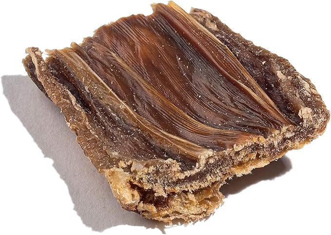 Jack&Pup Premium Dog Chews Bites, Healthy Dog Treats for Medium Dogs - All Natural Dog Treats Small Dogs, Single Ingredient Dog Treat for Puppies - Bully Sticks | Gullet Jerky (Gullet Bites - 24 oz)