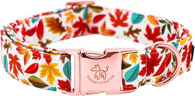 Elegant little tail Fall Dog Collar, Autumn Leaves Pet Collar Durable Dog Collars Male or Female Holiday Pet Gift Adjustable Dog Collar for X-Large Dogs