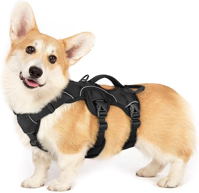rabbitgoo Escape Proof Dog Harness, Soft Padded Full Body Pet Harness, Reflective Adjustable No Pull Vest with Lift Handle and Leash Clip for Large Dogs Walking Hiking Training, S, Black