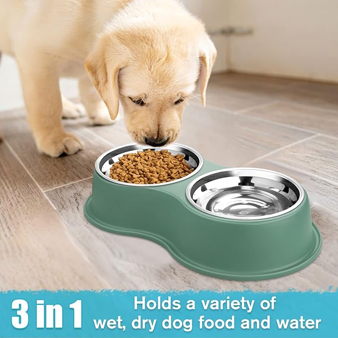 Dog Bowls Double Dog Water and Food Bowls Stainless Steel Bowls with Non-Slip Resin Station, Pet Feeder Bowls for Puppy Medium Dogs Cats