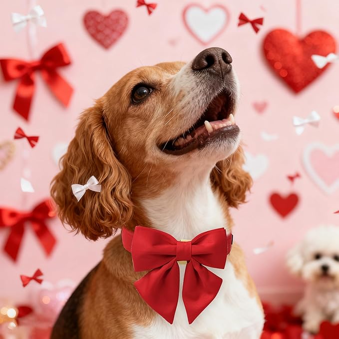 Maca Bates Red Dog Collar with Cute Solid Sailor Bow Tie for Medium Girl Boy Dogs,Girly Adjustbale Durable Breakaway Soft Collars with Bowtie for Female Male Puppy,Pet with Metal Buckle
