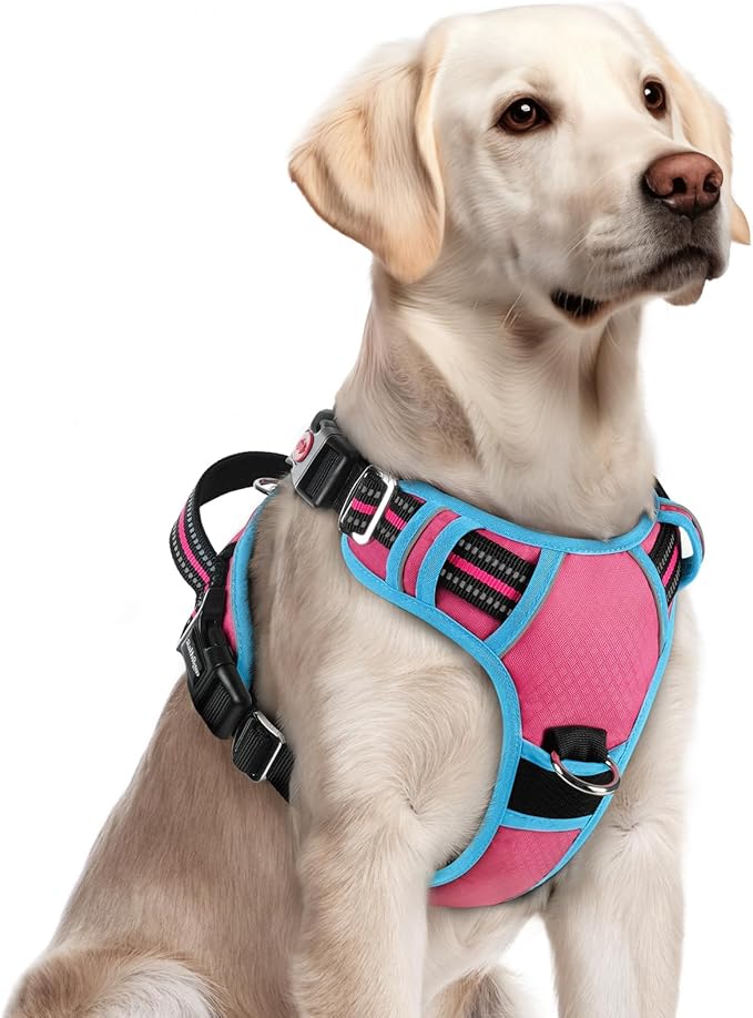 rabbitgoo Dog Harness for Large Dogs, No Pull Pet Vest with 3 Buckles, Adjustable Soft Padded Pet Harness with Easy Control Handle and Reflective Strips, Rose Pink & Blue, L