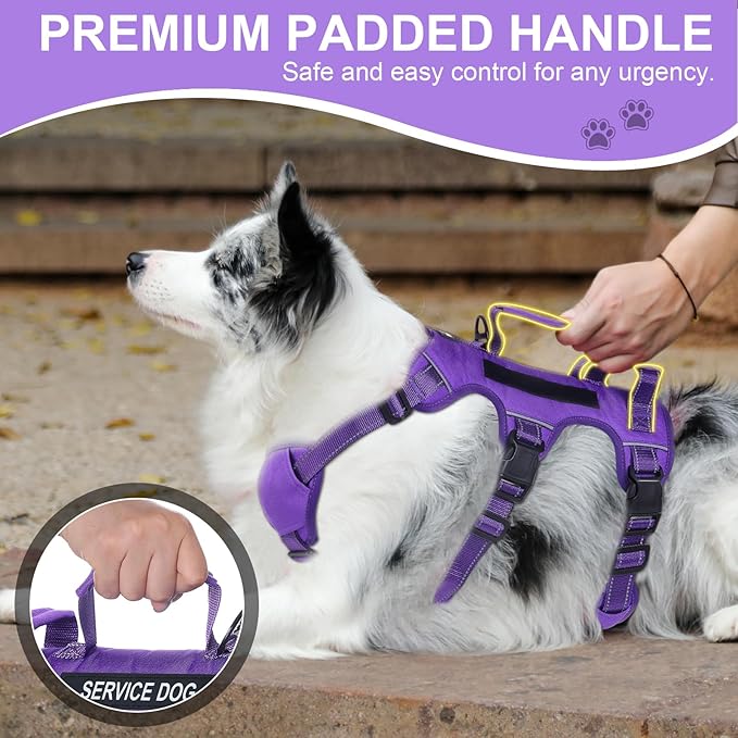 Escape Proof Dog Harness for Large Medium Sized Dogs Six Point Adjustable, Service Dog Vest Harness and Leash Set, No Pull Dogs Harnesses with Handle, XL Dog Harnesses for Walking(Purple, L)