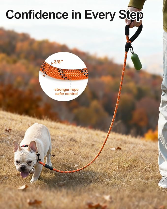 Joytale Dog Leash for Small Dogs, Heavy Duty Nylon Leashes with Comfortable Padded Handle and Highly Reflective Threads, Ideal for Walking and Training, Orange, 6'횞3/8''
