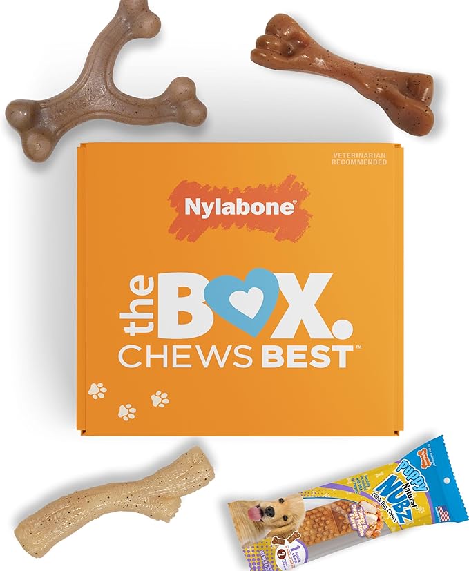 Nylabone Puppy Gift Box, Includes 3 Strong Puppy Chew Toys and 1 Natural Treat Bone for Puppies, Gifts for Puppies, Small Dogs - Up to 25 lbs., 4 Pack