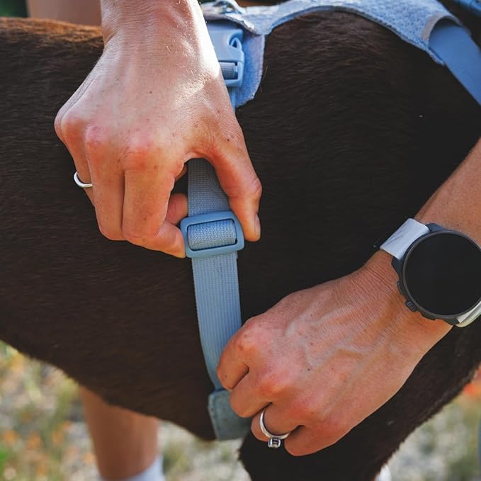 Ruffwear, Front Range Flex Dog Harness, Engineered Knit Construction for Ultimate Fit and Mobility, Lightweight Flexible Everyday Harness with Dual Leash Clips, Deep Teal, XXX-Small