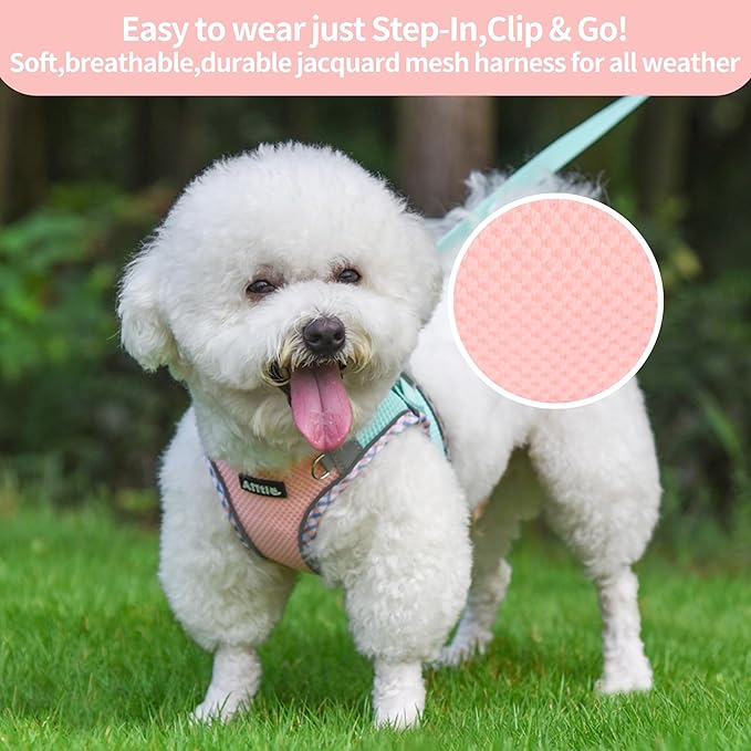 AIITLE XXS Dog Harness & Leash Set - Breathable Reflective No-Choke Small Dog Harness for Teacup Puppies, Indoor/Outdoor Use - Boston Terrier, Maltese, Chihuahua (Turquoise-Pink, XXS)