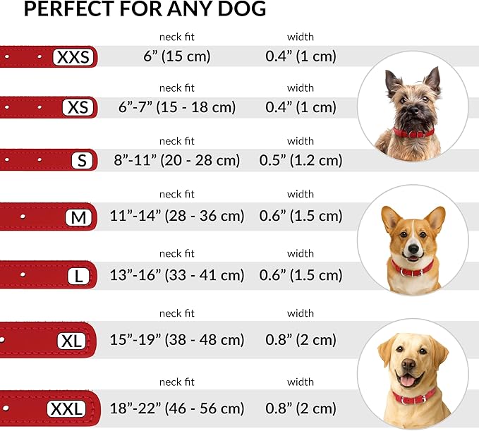 CollarDirect Rolled Leather Dog Collar, Soft Padded Round Puppy Collar, Handmade Genuine Leather Collar Dog Small Large Cat Collars 13 Colors (12-15 Inch, Red Smooth)