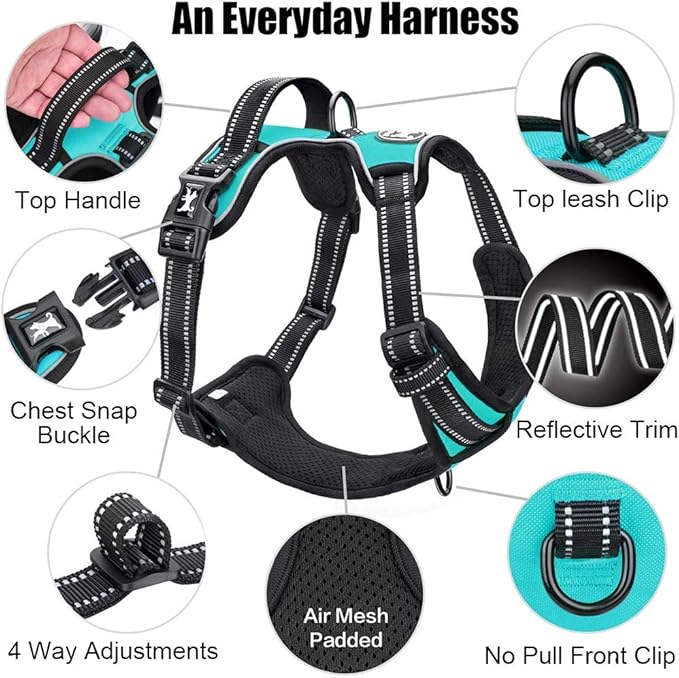PoyPet No Pull Dog Harness, Reflective Comfortable Vest Harness with Front & Back 2 Leash Attachments and Easy Control Handle Adjustable Soft Padded Pet Vest for Small Medium Large Dogs (Mint Blue,M)